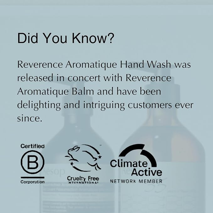 Aesop Reverence Aromatique Exfoliating Hand Wash | Exfoliating Hand Soap with Finely Milled Pumice | Gentle Cleansing & Skin-Smoothing Formula with Vetiver, Petitgrain & Bergamot | 500mL / 16.9 oz
