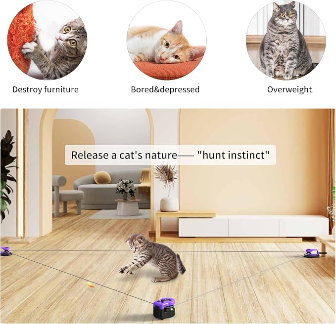AsFrost Interactive Cat Toy for Indoor Cats Chase/Run/Hunt/Exercise-Purple | Self Play/Remote Control Funny Cat Toy, Gifts for Cat Lovers, Kitty's Weight Loss and Health