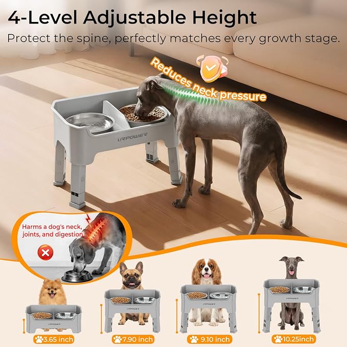 URPOWER Mess Proof Elevated Dog Bowls for Small Dogs with Splash Guard | 2 Stainless Steel Dog Bowls Non-Slip Food and Water Bowl Set with High Wall Splash Guard Design for Small Dogs, Light Grey
