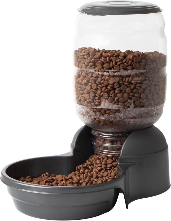 Petmate Replendish Automatic Dog Feeder Gravity Pet Treat Dispenser with Microban Protection Base, Wide Mouth Bowl, 100% BPA Free - 10 lb
