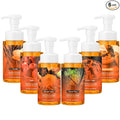 6 Pack Fall Foaming Hand Soap with Pump Care Moisturizing Liquid Autumn Scents Hand Soap Party Favor for Seasonal Home Decor and Gifting 8.75 Fl. oz