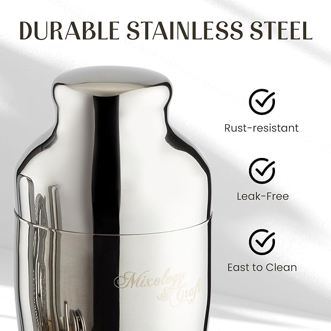 Mixology & Craft Cocktail Shaker Set with Bamboo Stand - Professional10-Piece Bartender Kit, Complete Bar Set for Home Use with Jigger, Muddler, Strainer, Spoon, Pourers & Corkscrew (Silver)