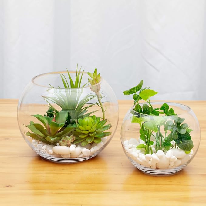 WGV Bowl Glass Vase Bulk, Diameter 8", Height 6", Open Width 5", (Multiple Sizes Choices) Clear Bubble Planter Terrarium Fish Bowl for Wedding Event Home Decor, 6 Pieces (VBW0008A)