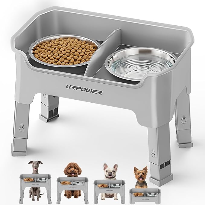 URPOWER Mess Proof Elevated Dog Bowls for Small Dogs with Splash Guard | 2 Stainless Steel Dog Bowls Non-Slip Food and Water Bowl Set with High Wall Splash Guard Design for Small Dogs, Light Grey