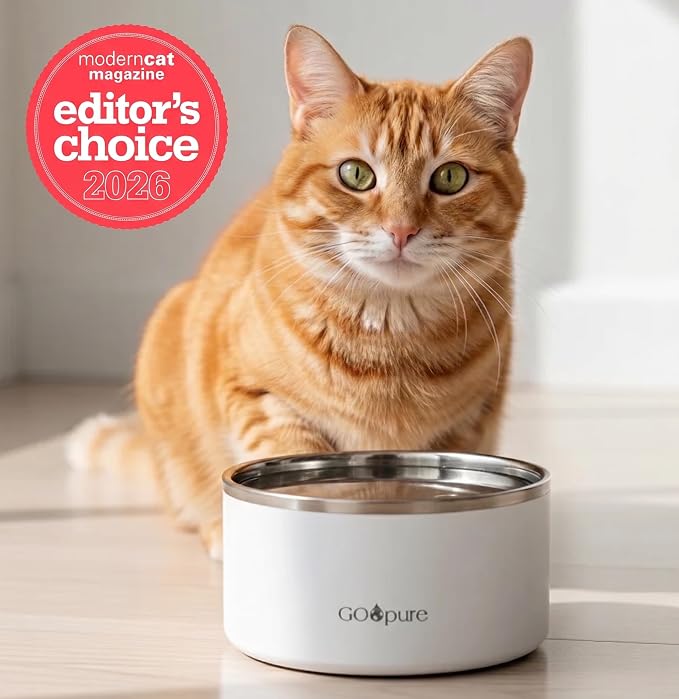 Filtered Pet Water Bowl – 64 oz Stainless Steel Dog & Cat Water Bowl with Ceramic Filter Included, Self-Purifying, Eco-Friendly Pet Water Bowl, White