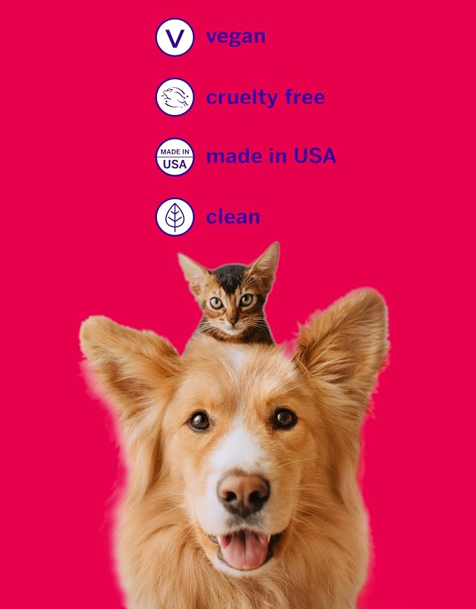 Petsmile Teeth Brushing Kit, Toothpaste + Brush, Rotisserie Chicken 4.2 Oz | Pet Toothpaste + 45° Patented Toothbrush, VOHC Accepted, Calprox® Powered, 6-Month Supply, Human-Grade, Clinically Proven