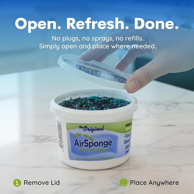 Nature's Air Sponge Odor Absorber, 1 Lb - 4 Pack, Set of 4