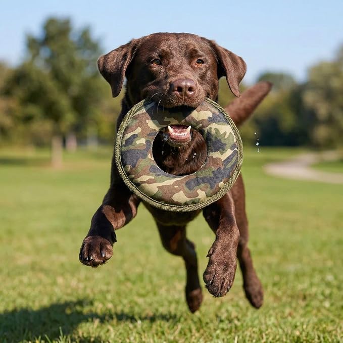 Durable Tough Cotton Canvas Squeaky Dog Toys, Eco-Friendly Interactive 2-Pack Chew Toy Set for Small, Medium & Large Dogs, Labby-Do & Camo Disk