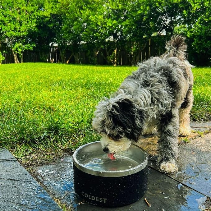 Coldest Dog Bowl - Anti Rust Metal, Non Slip, 3 Layers Insulated Stainless Steel Dog Bowls - Spill Proof & Heavy Duty - Water Bowl for Dogs, Cats & Pets, Dish Washer Safe (200 oz, Celestial Blue)