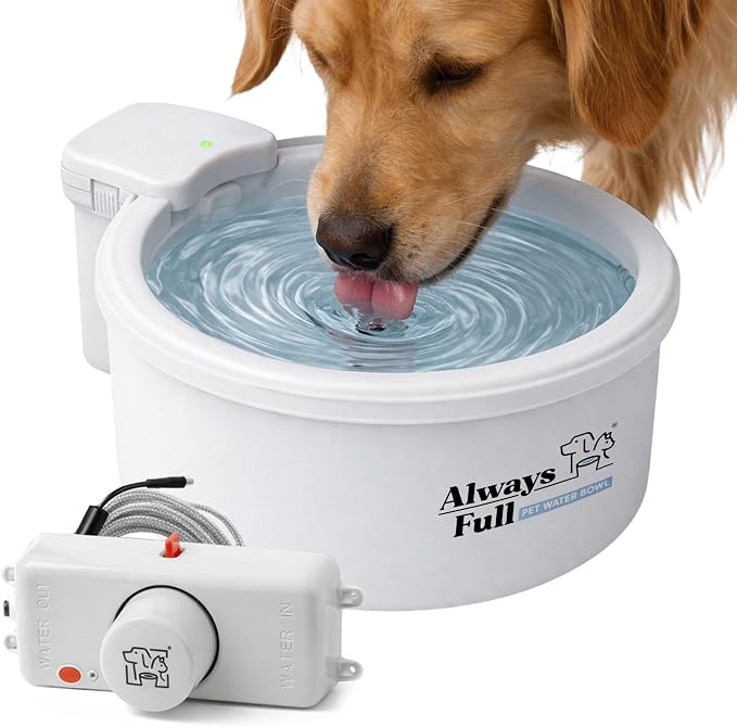 Always Full® 9" Self-Refilling Dog Water Bowl with Wall Unit | Self-refilling filtered water with app-enabled hydration monitoring; easily upgradeable to the Always Full® Wall Unit.
