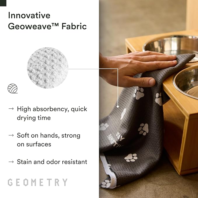 GEOMETRY Stay Pawsitive