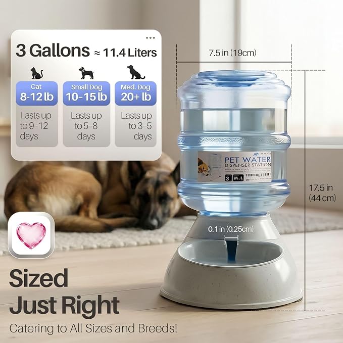 Flexzion Gravity Pet Water Dispenser Drinking Station for Dogs Cats (3 Gallon) Automatic Replenish Waterer for Small Large Breed Dog Cat,Feeding Watering Fountain Supplies Bottle Dish Bowl