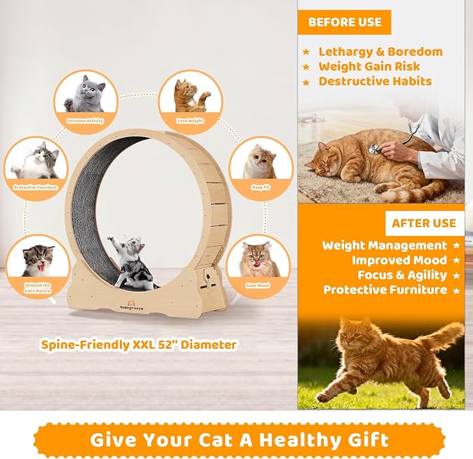 Homegroove XXL Cat Exercise Wheel, 52"/132cm Large Cat Wheel, Solid Wood Cat Treadmill with Integrated Safety Lock, Spine Alignment Design for Large Indoor (XXL, Natural Wood)