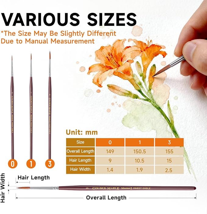 Golden Maple Kolinsky Sable Miniature Paint Brushes, Professional Detail Paint Brushes Round Point Paint Brush for Models, Watercolor Details, Figures & Gouache Painting - Size 0, 1, 3