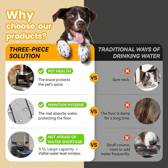 CZPET Elevated Dog Water Bowl Dispenser with Mat (9.5L+Stand+Mat,Black) | With Stainless Steel Bowl Gravity Waterer, Large Capacity and Drinking Area Noise-Free for Pets