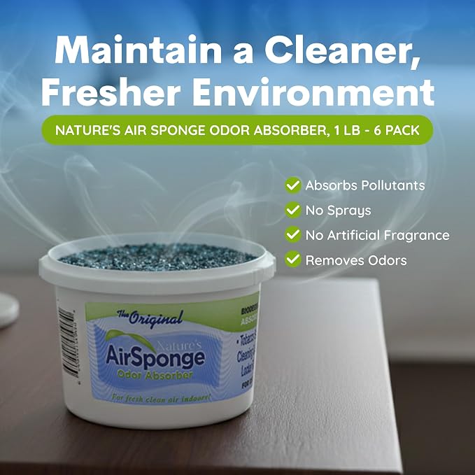 Nature's Air Sponge Odor Absorber, 1 Lb - 6 Pack, Set of 6