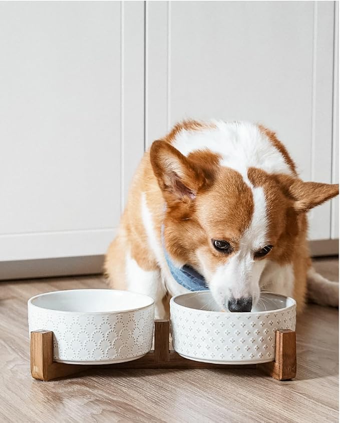 LE TAUCI Dog Bowls Ceramic for Small Medium Dogs - 3-Cup Dual Food & Water Bowl Set with Acacia Wood Stand, Non-Slip Anti-Tip Elevated Design
