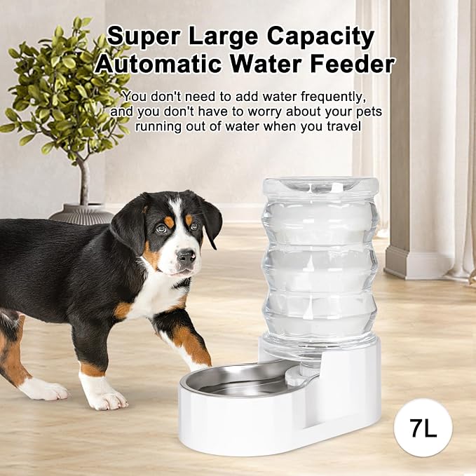 RIZZARI 6.5L Stainless Steel Dog Water Dispenser:Anti Spill for Medium Dogs | Stainless Steel Bowl / No Electricity / Gravity Auto Refill / Stable Base / Easy Cleaning / Home Use
