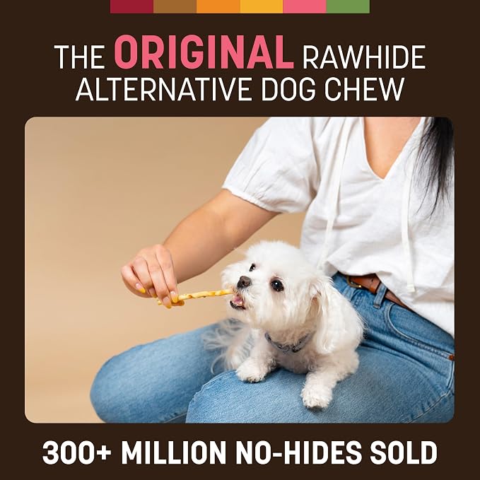 Earth Animal No Hide Stix - Long Lasting Rawhide Free Small Dog Chews Sticks, Salmon - 40 Count Extra Value Pack