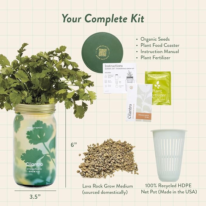 Modern Sprout Mason Garden Jar + Replant Kit - Self-Watering Hydroponics Growing System Kit w/Organic Herb Seeds - Jar Planter for Indoor Herb Garden - Seed Starter - Gift for Mother's Day - Cilantro