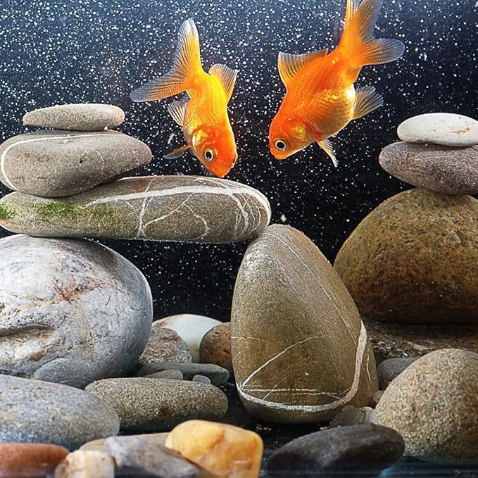 20lbs Natural River Rocks, 1"-2" Premium Pebbles for Garden | Hand-Picked Smooth Stones for Fish Tank, Flower Pots, Indoor Water Fountains, Pathways, Backyard