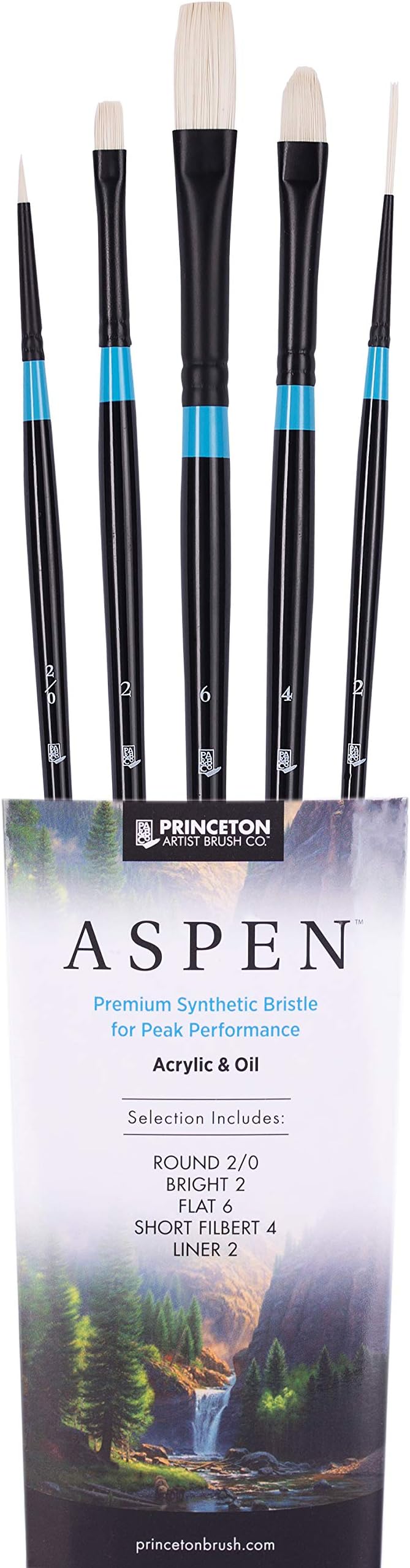 Princeton Aspen 6500 Series 5pc Professional Paint Brushes for Acrylic Painting - Synthetic Oil, Gouache, and Acrylic Paint Brushes Set - Filbert Striper Flat & Round Set of Art Brush
