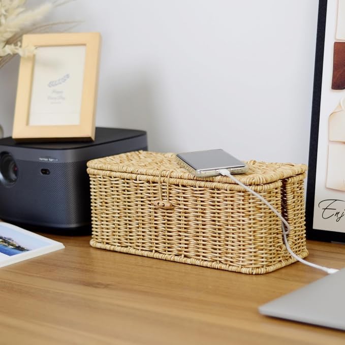 BROWNLILY Cable Management Box, Rattan Style Cord Organizer for Desk Cord Hider Outlet Covers for Power Strip TV PC Router Charger Under Desk Storage - Natural Small