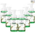6 Pack Eucalyptus Mint Foaming Hand Soap with Pump Care Moisturizing Liquid Gentle Scented Foam Hand Wash 2026 New Year Gifts for Kitchen Bathroom Family Teacher Staff 8.75 Fl. oz
