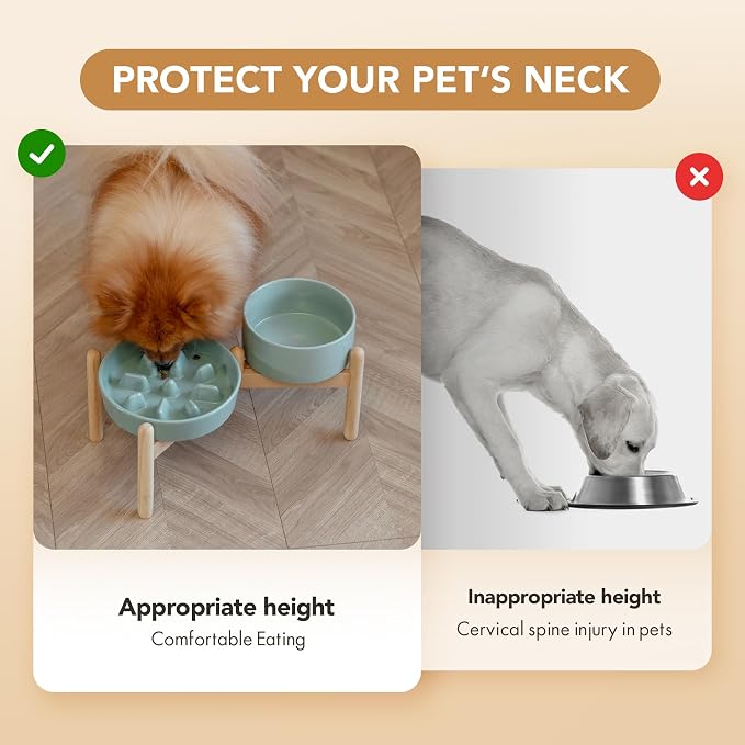 Havniva Elevated Slow Feeder Dog Bowls, Ceramic Dog Bowl Slow Feeder Set | 1.2 Cups Raised Slow Feeder Dog Bowl for Small Breed, 6.1” Dog Water Bowl with Wooden Stand, Puzzle Dog Food Bowl, Non-slip