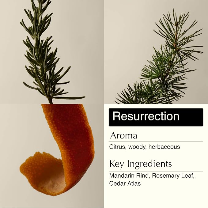 Aesop Resurrection & Reverence Aromatique Hand Wash Set – Nourishing Hand Wash & Gentle Exfoliating Hand Soap Duo | Botanical Cleansers Made with Hydrating Essential Oil Blend | 16.9 oz Each (2 Pack)