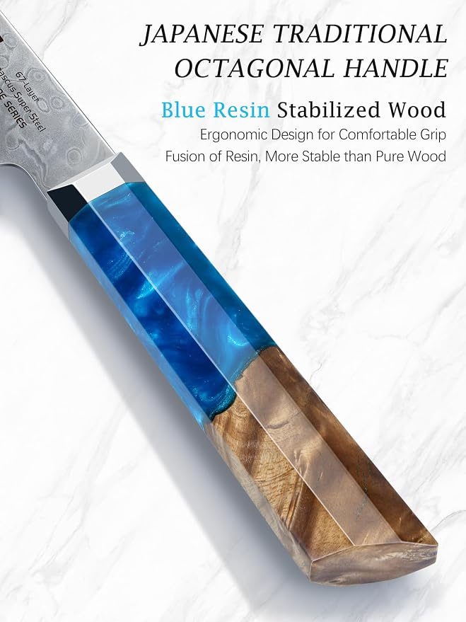 HOSHANHO 8" Damascus Chef Knife, 67-Layer Damascus Steel Kitchen Knife | Ultra Sharp Japanese Cooking Knives, Ergonomic Blue Resin Stabilized Wood Handle with Wood Gift Box