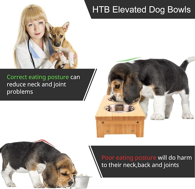 HTB Elevated Dog Bowl Stand with 2 Stainless Steel Bowls-4" H Small Bamboo | Raised Dog Bowl Stand, 4"tall, 21 Oz Bowls, for Small Sized Dogs, Pet-safe, Solid Bamboo