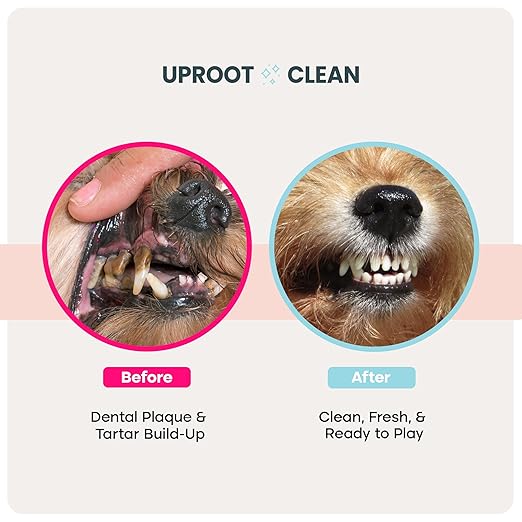Uproot Cleaner Pro Pet Hair Remover & Dental Finger Wipes Set: The Ultimate Pet Hair Removal Tool for Non-Knit Surfaces & Cat and Dog Teeth Cleaning Wipes for Plaque, Tartar, & Breath