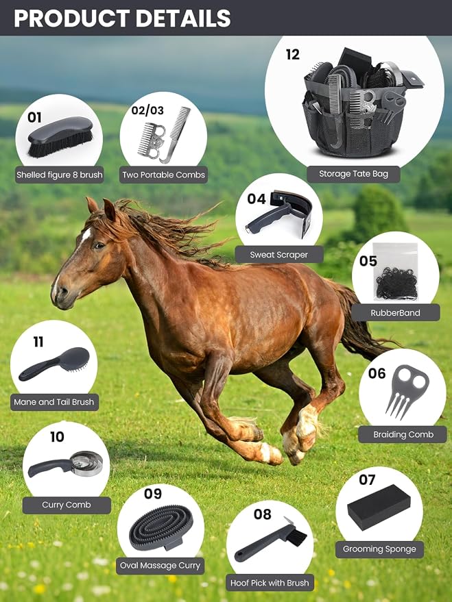 Horse Grooming Kit 12 Pieces Set – Complete Horse Brushes & Care Supplies Set with Organizer Tote Bag, Equine Coat Grooming Tools, Tack Room Equipment & Gifts for Horse Owners & Lovers
