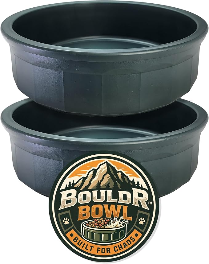 Pet Crock Bowl - 2 Pack – Thick Durable Plastic (Green, 48oz Large) Non-Tip Food & Water Dish for Dogs, Cats - Indoor/Outdoor - Chew Resistant, Easy Clean BouldrBowl by Healthy Surplus®
