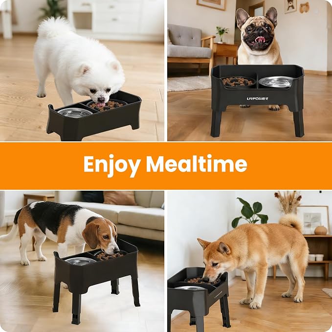 URPOWER Elevated Dog Bowls for Small Dogs, 3-in-1 Raised Stand | No Spill Water Bowl, Slow Feeder Dog Bowls, Non-Slip Food and Water Bowl Set for Small, Medium & Large Dogs