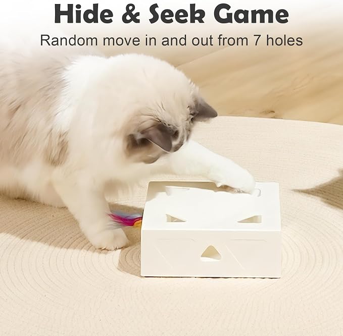 Interactive Cat Toys -Migibox for Indoor Bored Cats, Automatic Pop Out Feathers from 7 Holes Randomly, Motion Activated, USB Rechargeable (Purple Skin)