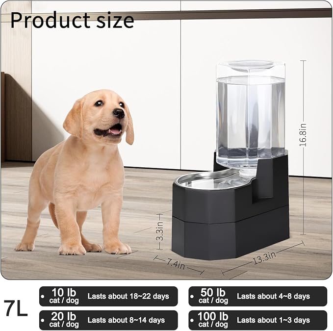 Sfozstra 7L Raised Dog Water Dispenser: Comfortable Drinking | Gravity Water Dispenser/Better Drinking Posture/Medium Dogs/304 Stainless Steel Bowl/Spill Resistant Base/Dishwasher Safe