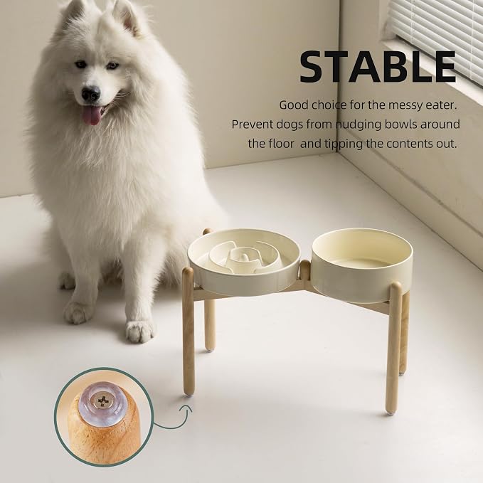 Havniva Elevated Slow Feeder Dog Bowls, Ceramic Dog Bowl Slow Feeder Set | 3.2 Cups Raised Slow Feeder Dog Bowl for Large Breed, 8.2” Dog Water Bowl with Wooden Stand, Puzzle Dog Food Bowl, Non-slip