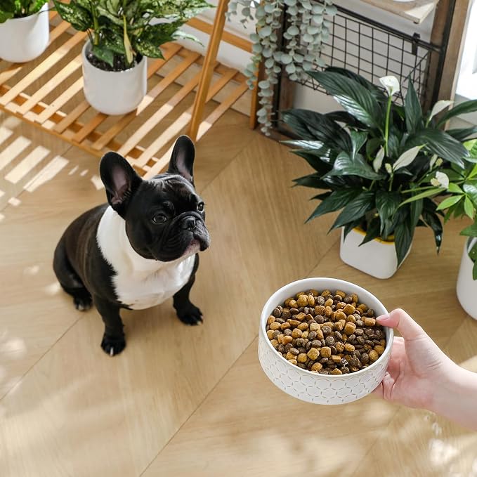 MALACASA Ceramic Dog Food Bowl, Water Dish for Small Breeds, 1.5 Cups | Honeycomb Pattern, Ceramic Pet Bowl, Food and Water Dish, Dishwasher and Microwave Safe, for Small Dogs and Cats