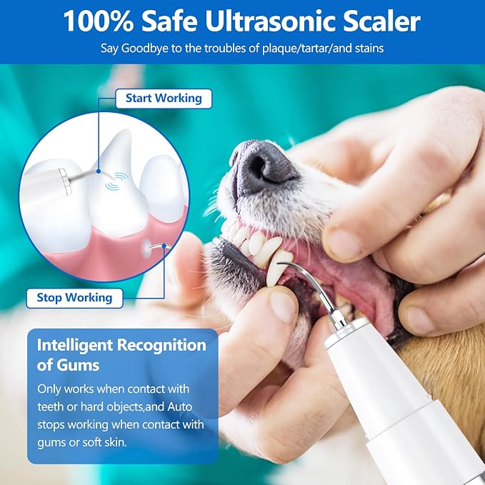 Ni-SHEN Dog Plaque Remover for Teeth，Pet Ultrasonic Tooth Cleaner，Teeth Cleaning Kit -Tartar Remover for Teeth Stains for Dogs and Cats (White)