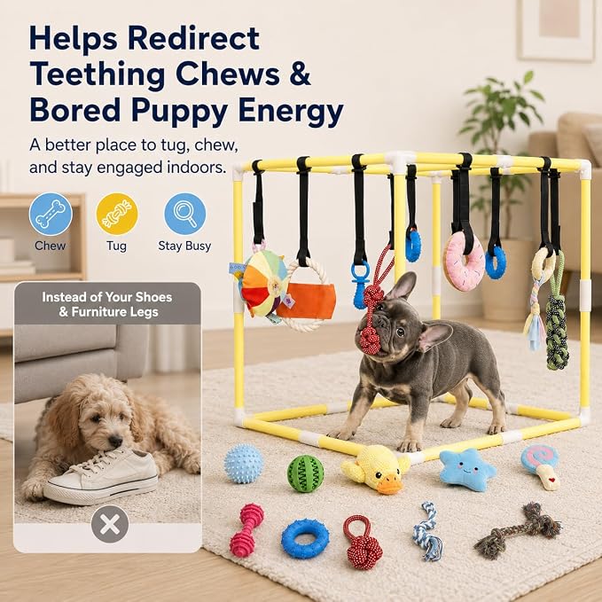 Puppy Play Gym with 17 Hanging Toys, 22" Indoor Dog Jungle Gym | Interactive Enrichment Activity Center for Active Small Dogs, Puppies & Cats, Teething & Squeaky Toys, Stable PVC Frame