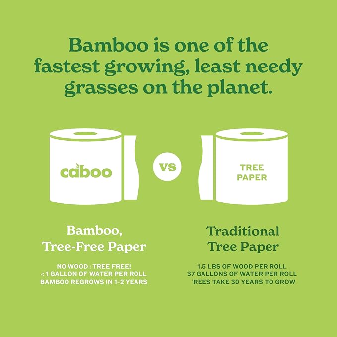 Caboo Tree Free Paper Towels, 6 Family Size Paper Towel Rolls, 2 Ply Sheets | Made with Bamboo Viscose, Plastic Free Packaging, Strong & Super Absorbant, Hypoallergenic, BPA & Chemical Free
