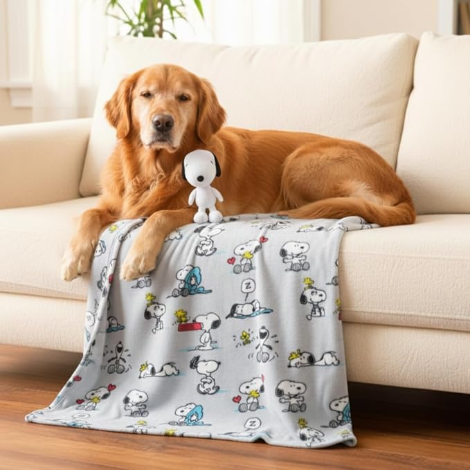 Peanuts Snoopy Pet Throw & Squeaky Pillow Set, Stimulating Toy As Gifts for Puppies, Cats, Dogs, (Officially Licensed) By Franco