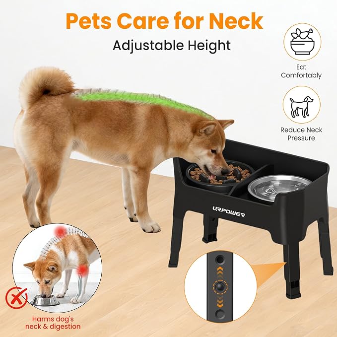 URPOWER Elevated Dog Bowls for Small Dogs, 3-in-1 Raised Stand | No Spill Water Bowl, Slow Feeder Dog Bowls, Non-Slip Food and Water Bowl Set for Small, Medium & Large Dogs