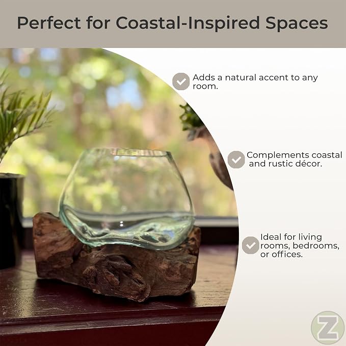 Planter Terrarium with Molten Glass Bowl on Driftwood, 7.5 Inch | Natural Base Varies by Piece, 3.5 Inch Opening, 4 Inch Center Depth, Freestanding for Shelves or Desks