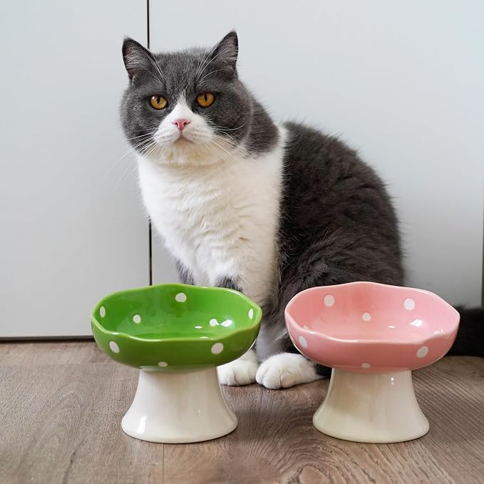 Green Mushroom Cat Bowl, Elevated Ceramic Bowl for Cats | Elevated, Ceramic, Whisker Friendly, Wide Opening, Anti Vomiting