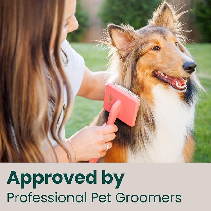 Premium Slicker Brush for Dogs - Long Pin for Poodles, Doodles & Long Haired Dogs, Deshedding & Dematting Tool, Slicker Dog Brushes for Grooming (Coral, Curved Large)