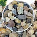 2lbs Aquarium Rocks, 5/8" Natural Mixed Pebbles for Plants | Decorative Polished River Rocks for Fish Tank, Landscaping, Gardening, Flower Pots, Vase Fillers, Indoor Water Fountains