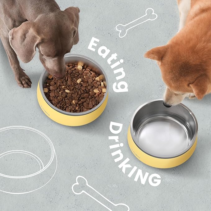 Pawaii Dog Bowl,34 oz Stainless Steel Food and Water Bowl,ID Tag,1 Pack | Double-Wall Design,Non-Slip Rubber Base,Dishwasher Safe,Smooth Open Design, Not a Slow Feeder,Easy-Rinse Interior